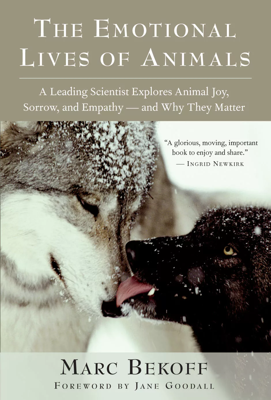 337: Dr. Marc Bekoff, Author: “Animals and Emotions”